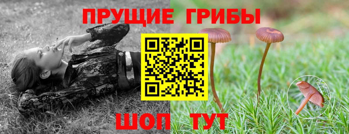 Псилоцибиновые грибы ЛСД  Вход с VPN  Псилоцибиновые грибы Psilocybine cubensis  наркота  Богородск 